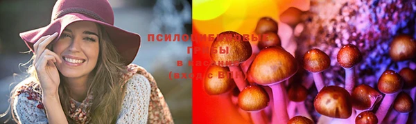 хмурый Богородицк
