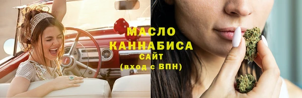 индика Богданович