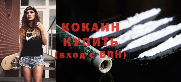 индика Богданович