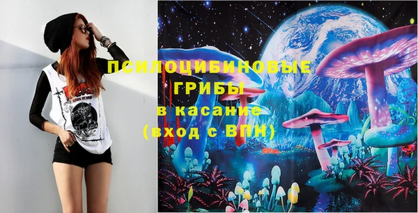 хмурый Богородицк