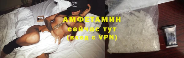 индика Богданович