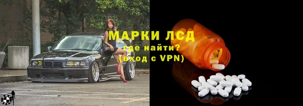 индика Богданович