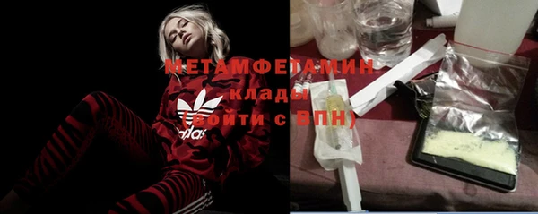 индика Богданович