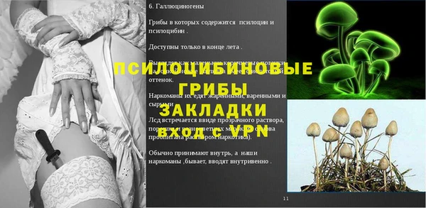 хмурый Богородицк
