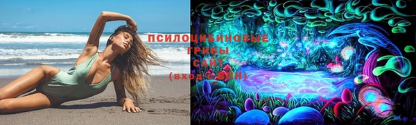 соль ск Бронницы