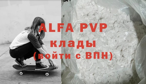индика Богданович