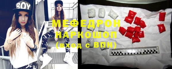 индика Богданович